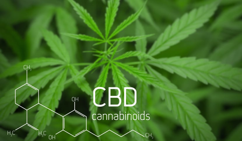 Tips and Tidbits About Common and Not So Common Cannabinoid Receptors